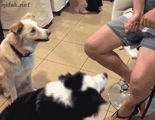 tumblr_o3phnhbc5r1ukldkho1_400