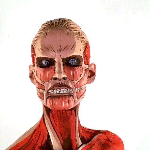 Anime-Shingeki-no-Kyojin-Anime-Гифки-cosplay-2656019.jpeg