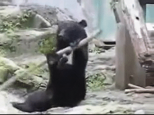 1369310737_649818367