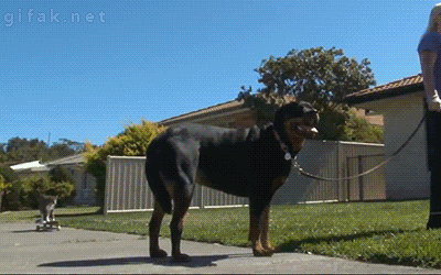 1390161982_1989345659_yapfiles.ru