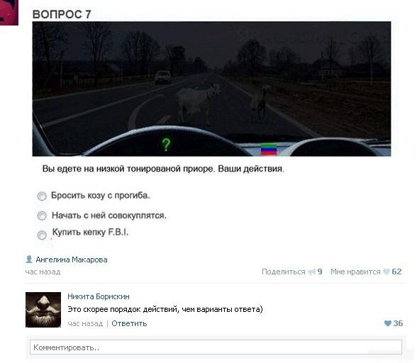 7386239