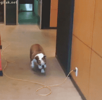 tumblr_o44y8hsnNo1ukldkho1_400