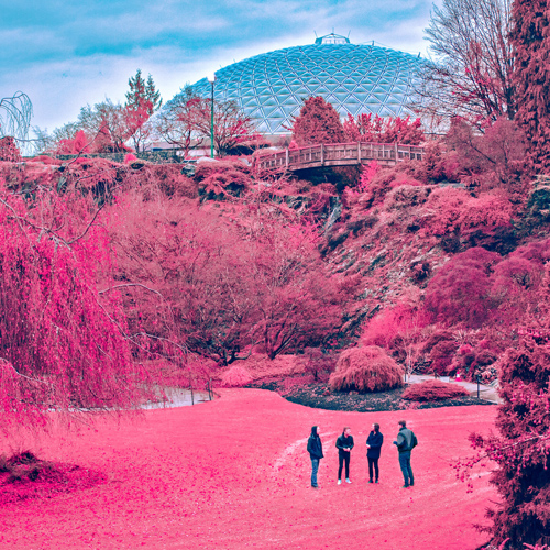 The Zolas - Swooner (2016)