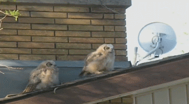 a407c81df4bfcb6942bd6eb9b40_yapfiles.ru
