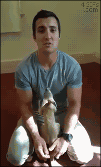 tumblr_o3z8ltnCQQ1tlb56zo1_250
