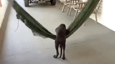 1458773018-67d90c4ea55c53183d96012bc437e158