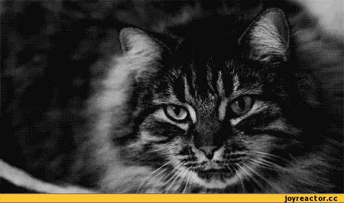 af2e700ebef070d8973f0d111e587fcd