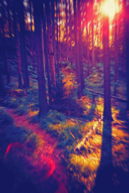 tumblr_nwjc3kD4SS1ubdspro1_500