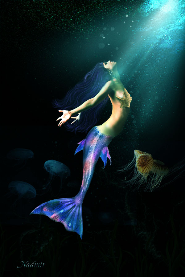 К солнышку!