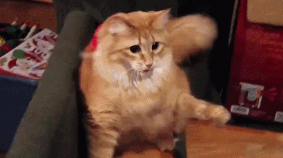 nycat_ywwwapfiles.ru