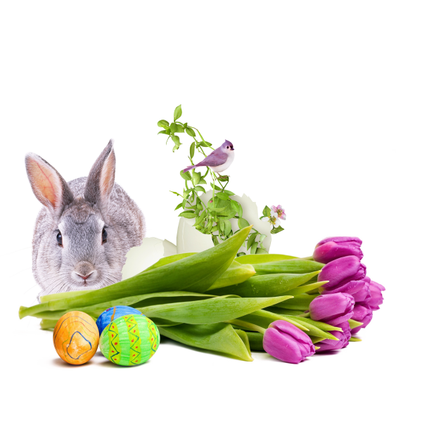 vevgl72mxda4qc12p0je2xdws