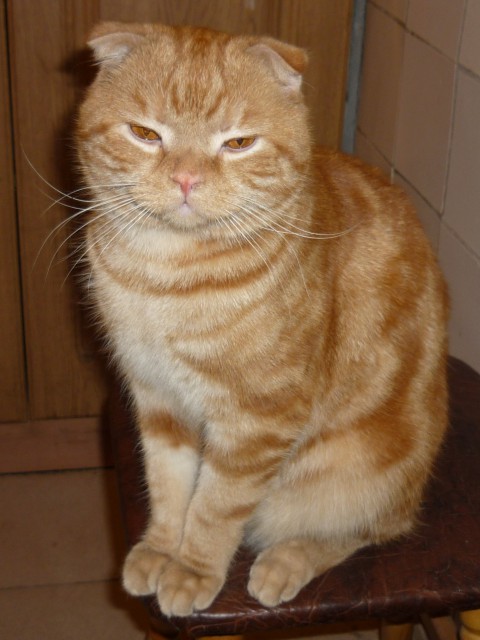 на телефон2