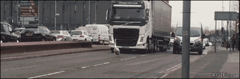 Они мешают работать