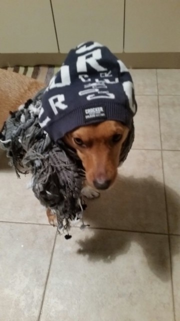 image-c9e776274f6860a5b9d5ce381fbf821336b55e2b0634c98feb190d13b2d2192d-V