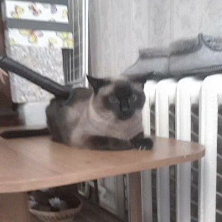 -пылесос-гифки-3010444