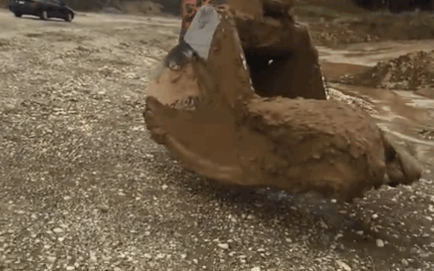 -олененок-спасение-живность-2994397