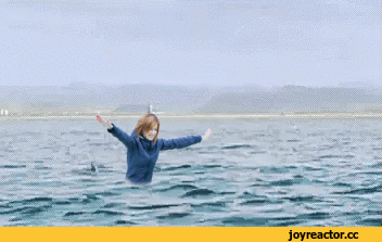 -гифки-эволюция-2884781