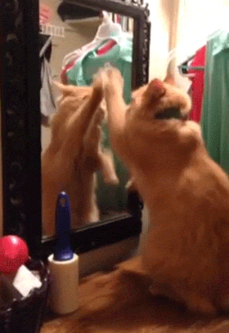 ezgif.com-resize (5)