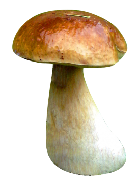 3542110-6433a3b8099542d3