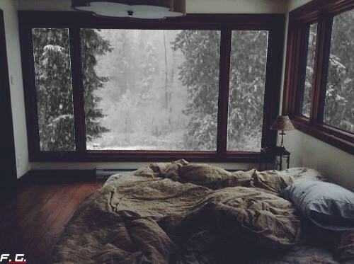 tumblr_ndfm43w9WG1slfr2co1_500