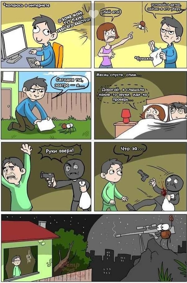 spider_1