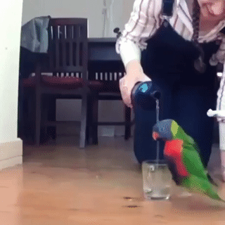 ezgif.com-gif-maker_002