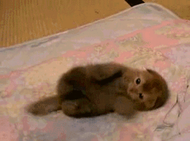 201604_fotografias-04-curiosas38