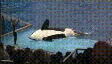 1461070565-5a649f06d8e8a3c4d2b2c0a759ccf89a