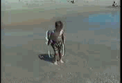 Fungif_06