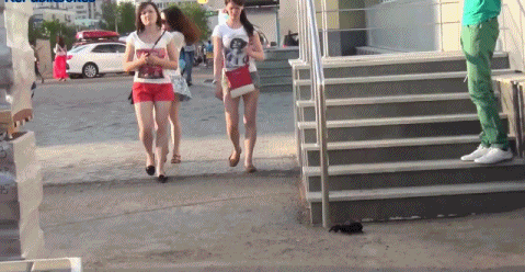 Fungif_30