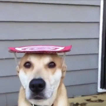ы