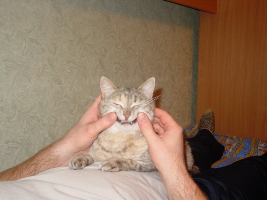 Всем улыбаться !