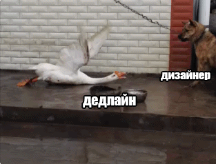 -дизайнер-гифки-песочница-3022794