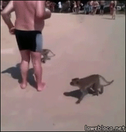 1461309666-c53af227f47c621125df27c26d7bb9d9