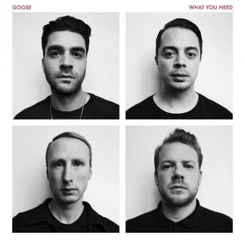Goose – What You Need (2016)