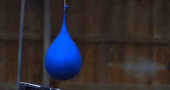 -шарик-патрик-выстрел-3043590