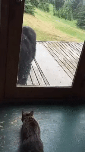 1461389400-104352efaeca0ac1f85665c073a3f833