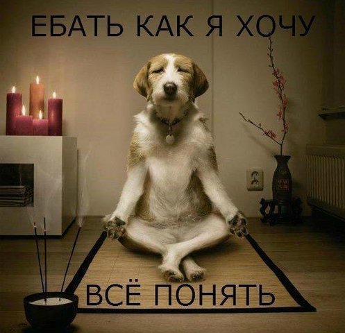 понять