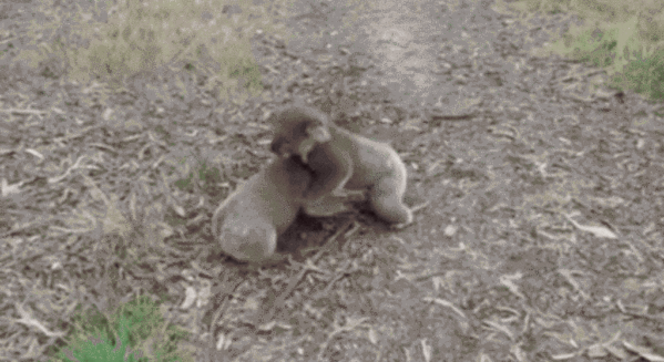 1461656729-76cd6f68d6f56ea0dc863c58f7bc07ea