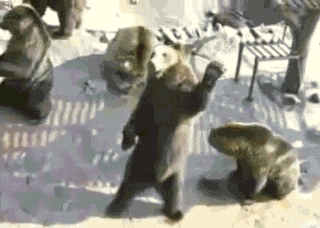 137234648026b9d7283ea1ffdbb6a079bd4c2cf76e_yapfiles.ru