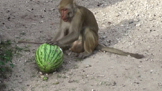 fee880611e03a7be5dae9aeab5e