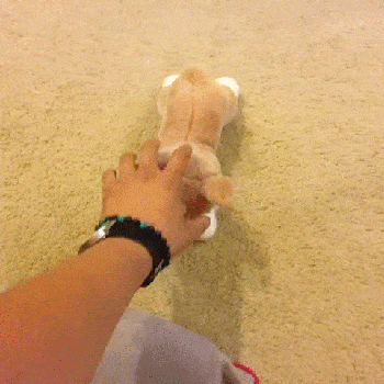 883c7aa6e6876852a299663bb219f14c