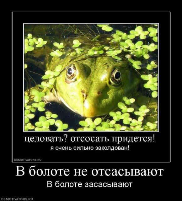 315829_v-bolote-ne-otsasyivayut