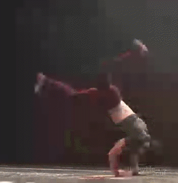 -живность-кот-танец-3055421