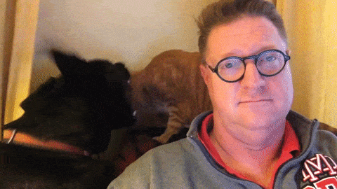 -собака-живность-гифки-3045156