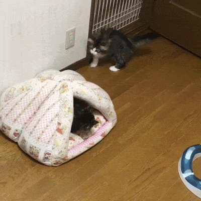 1462082082-d9c5638e115080fc17a30437f55db51a