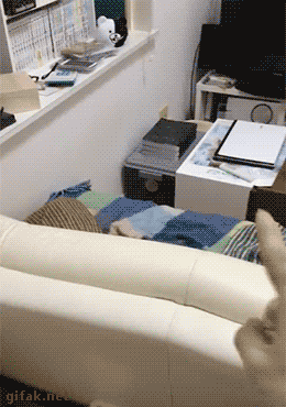 1462082282-43650f626a2930e90050dcf44251b464