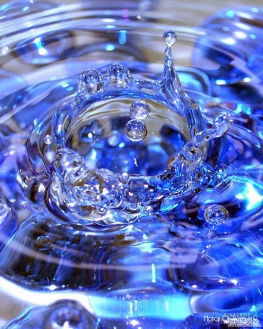 60718970_1208599878_aleha18__