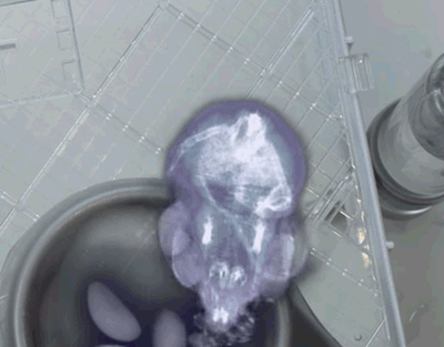 -x-ray-хомяк-3071853