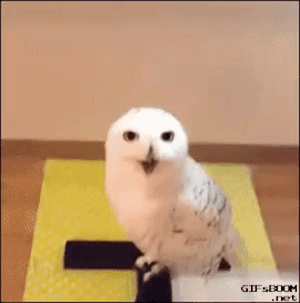 5cb1e58ad155c3cf4dc20b990b475896